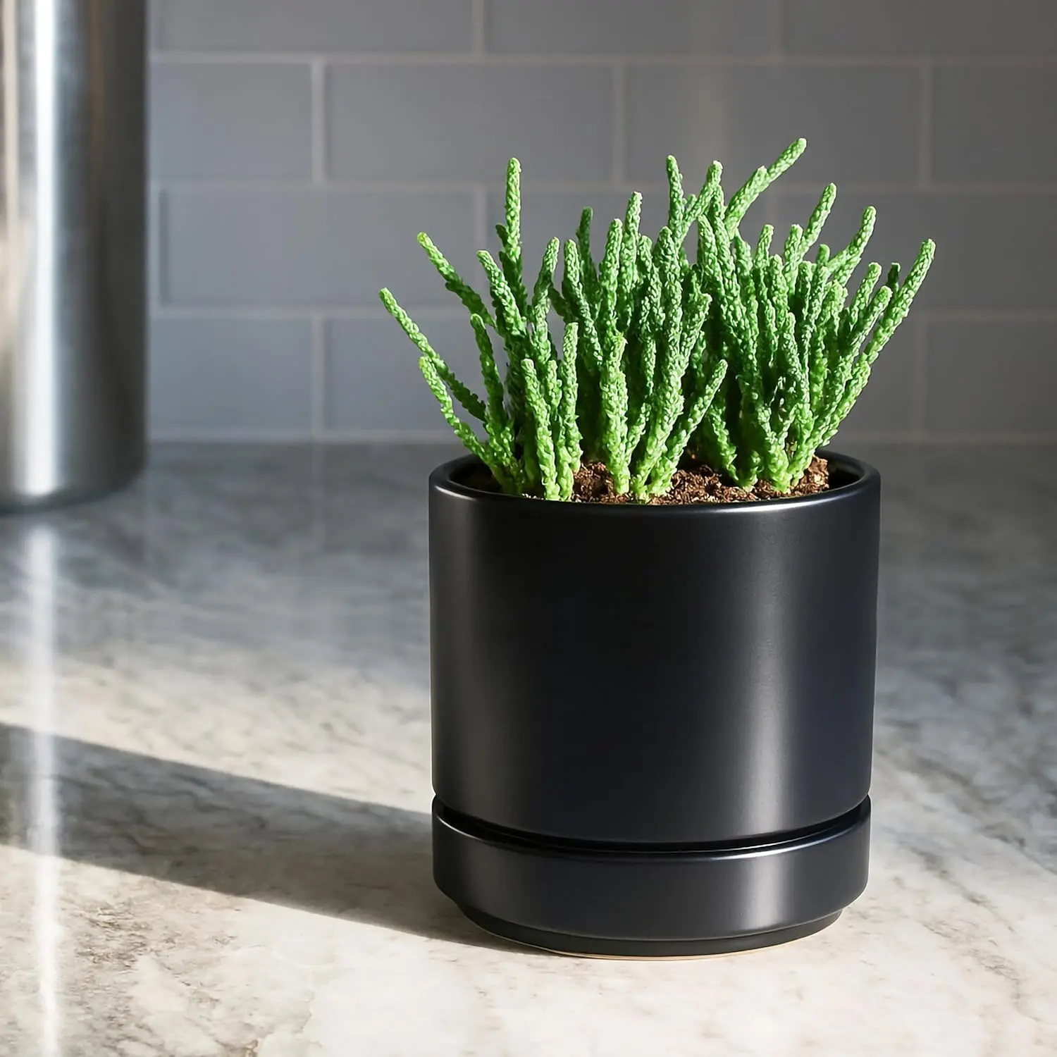 Black Ceramic Planter