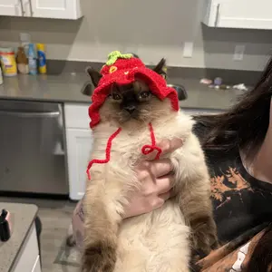 Cute 4PCS Homemade Handmade Knitted Cartoon Pet Hats - Soft Polyester Fabric, Adjustable Strap, All Seasons Fit, for Small Cats/Puppies, Ideal for Parties, Halloween, Photos