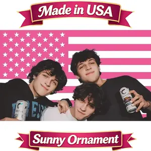 MAGJIUKE Smooth Polyester Sturniolo American Triplets Flag Tapestry - Pink Chris, Matt, Nick Sturniolo USA Wall Hanging with Clear Print, Photo-Inspired Decoration for Bedroom, Living Room
