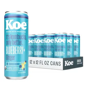 Organic Kombucha Cans, Blueberry Ginger | Sparkling Fruit Drinks With Live Probiotics and Vitamin C | 12 oz Pack of 12 Beverage Tea