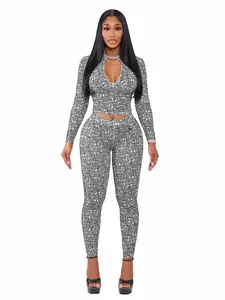 Women's Sexy High Neck Design Zipper Crop Top & Long Pants Set, Casual Fitted Set Outfit Long Sleeve Print for Spring & Fall, All Seasons Wear Womenswear Casual Wear Sets, Casual Activewear Set