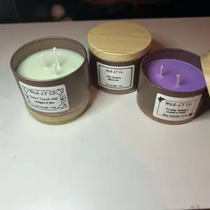 Wick-LY Co. Soy Candles - Don't Touch Me, Mix Mystery, Finally Asleep - 4 oz, Eco-Friendly Soy Wax, 3 Unique Scents, Relaxing Atmosphere, Decor Ornaments