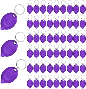 Mini UV Keychain Flashlight, Portable Black Light, 12 Lumen Ultra Bright Tiny Flashlight, Small Keychain Flashlight for Stain Detection & Scorpion Finder, Battery included (48PCS)