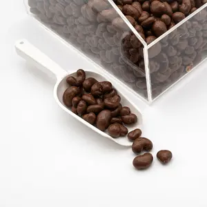 Milk Chocolate Cashews - Premium Whole Cashews Covered in Rich Milk Chocolate - 4 oz & 8 oz & 1 lb Chocolate Bag