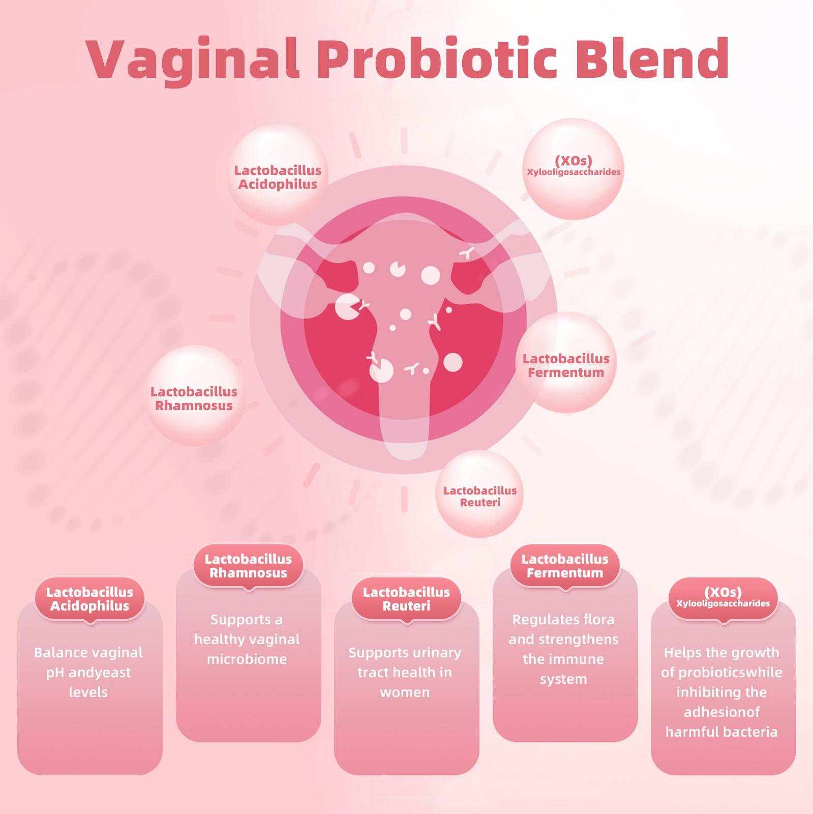 BJBKKBZ Vaginal Probiotic Vitamin Capsules, V-Positiv Probiotic Blend with Prebiotic XOS FOS Inulin, Supports Vaginal pH Balance, Yeast Balance & Urinary Tract Health, 60 Count Dietary Supplement