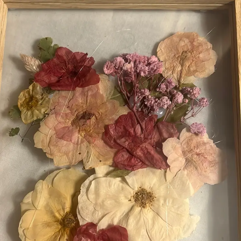 Tickled Pink Framed Dried Flower Arrangement - Assorted Colors & Styles