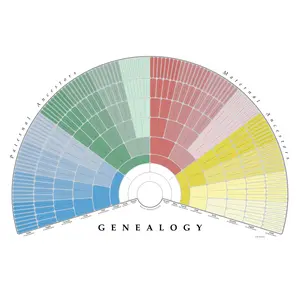 TreeSeek Family Tree Wall Poster Fan Chart | Large Colored Blank Fillable Genealogy Pedigree Form for Ancestry and Family History Research Work | Print Decor