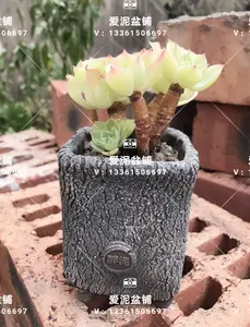 Ceramic Flower Pot Handmade Hexagon Succulent Planter 6x6x10 Rustic Hand-Pinched Bonsai Pot. Square Rim Creative Home Office Desk Decor Display.