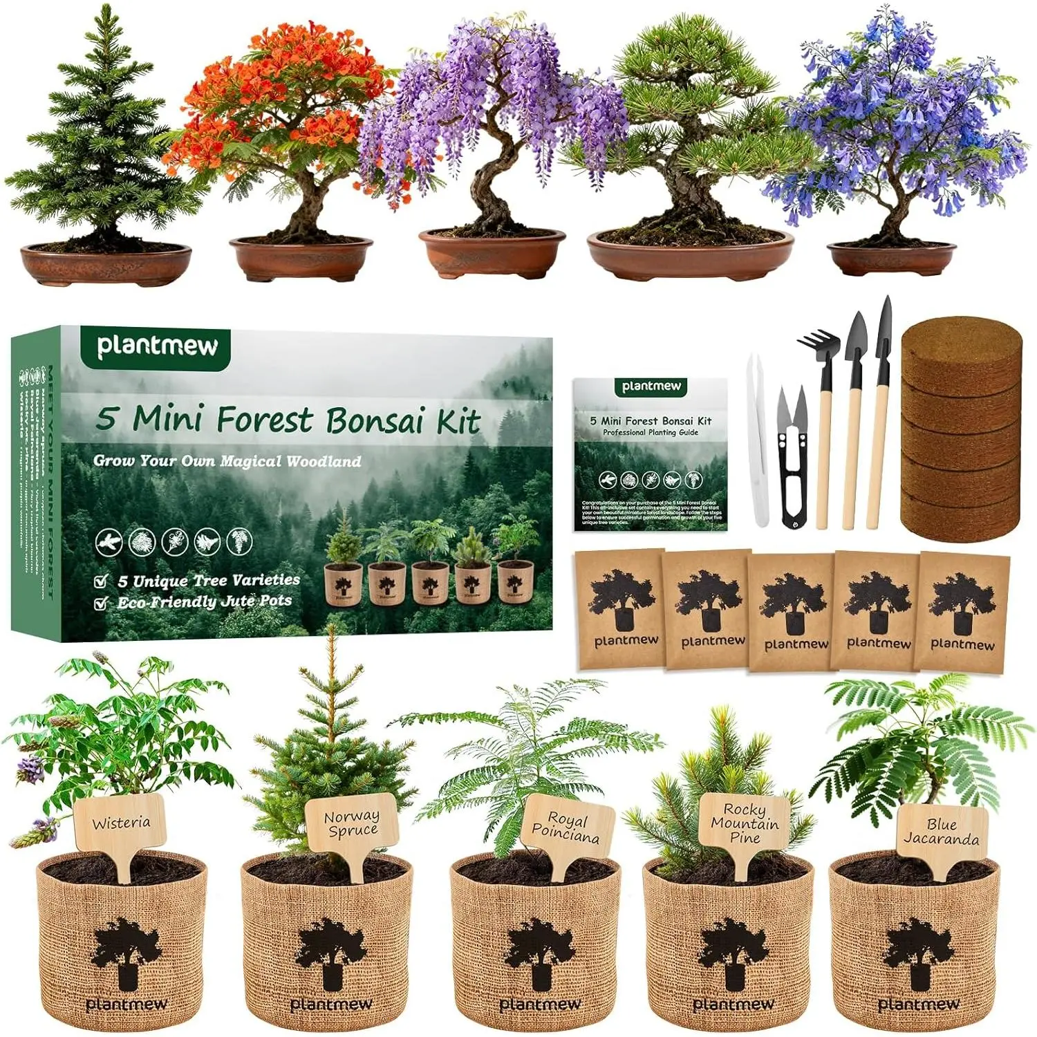 Christmas Gifts & Crafts for Adults - Bonsai Tree Starter Kit with 5 Unique  Japanese Trees | Complete DIY Gardening Kit for Birthday | Gifts for Women,  Men, Mom, Dad, Plant Lovers - TikTok Shop