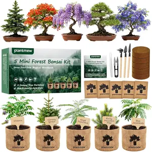 Christmas Gifts & Crafts for Adults - Bonsai Tree Starter Kit with 5 Unique Japanese Trees |   Complete DIY Gardening Kit for Birthday |   Gifts for Women, Men, Mom, Dad, Plant Lovers