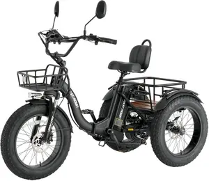 Skeri Electric Tricycle for Adults 20"x4" Folding Fat Tire Trike with 750W Motor 48V 13Ah Battery All-Terrain Tires & Adjustable Backrest