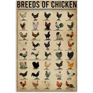 Breeds of Chickens Poster Vintage Metal Tin Signs Coffee Shop Rooster Iron Painting Retro Novelty Funny Bar Pub Restaurant Kitchen Farm Chicken Coop Tin Signs Wall Art Home Decor 8x12 Inch