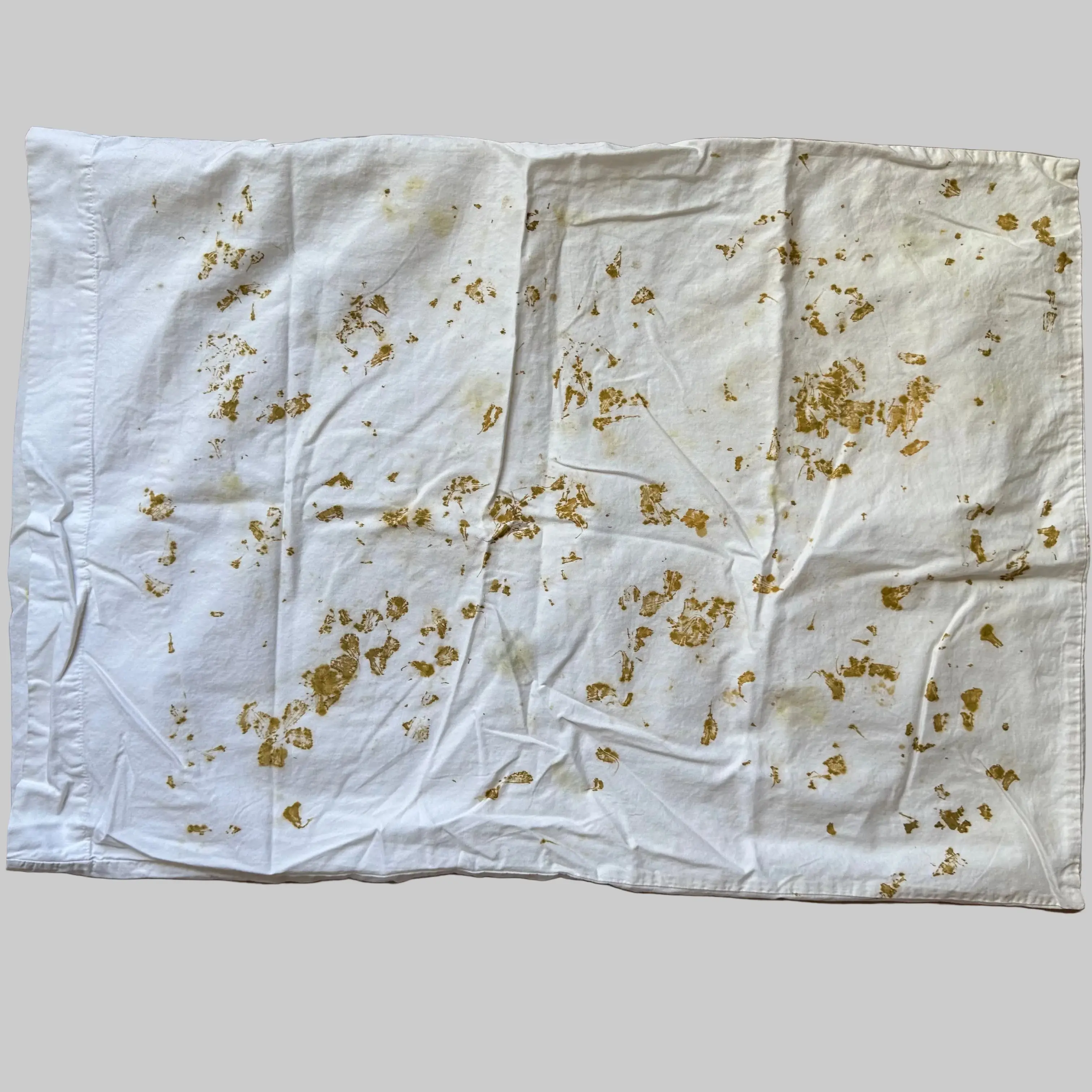 Eco Printed Cotton Standard Pillow Case | 18in x 26 in
