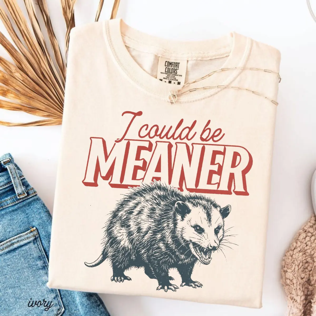 Comfort Colors Funny Opossum T-shirt, I Could Be Meaner Shirt, Trendy Retro Tee, Sarcastic Sassy Shirt