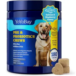 Probiotics for Dogs - Dog Probiotics Soft Treat for Gut, Immune & Skin Health - 6 Billion CFUs, 180 Soft Chews, Salmon & Blueberry Flavor - with Prebiotics & Digestive Enzymes
