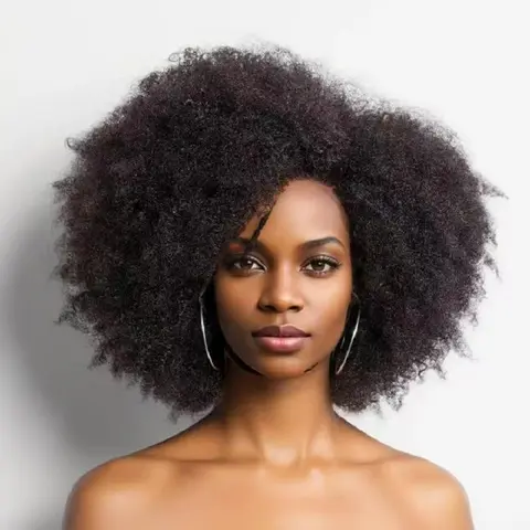 Imani 14-Inch Afro Kinky Curly Human Hair Wig for Black Females - 250% Density 13×4×2 HD Lace Frontal, Natural Hairline, Heat-Resistant, Adjustable, Affordable, Pre-Bleached, Daily-Use