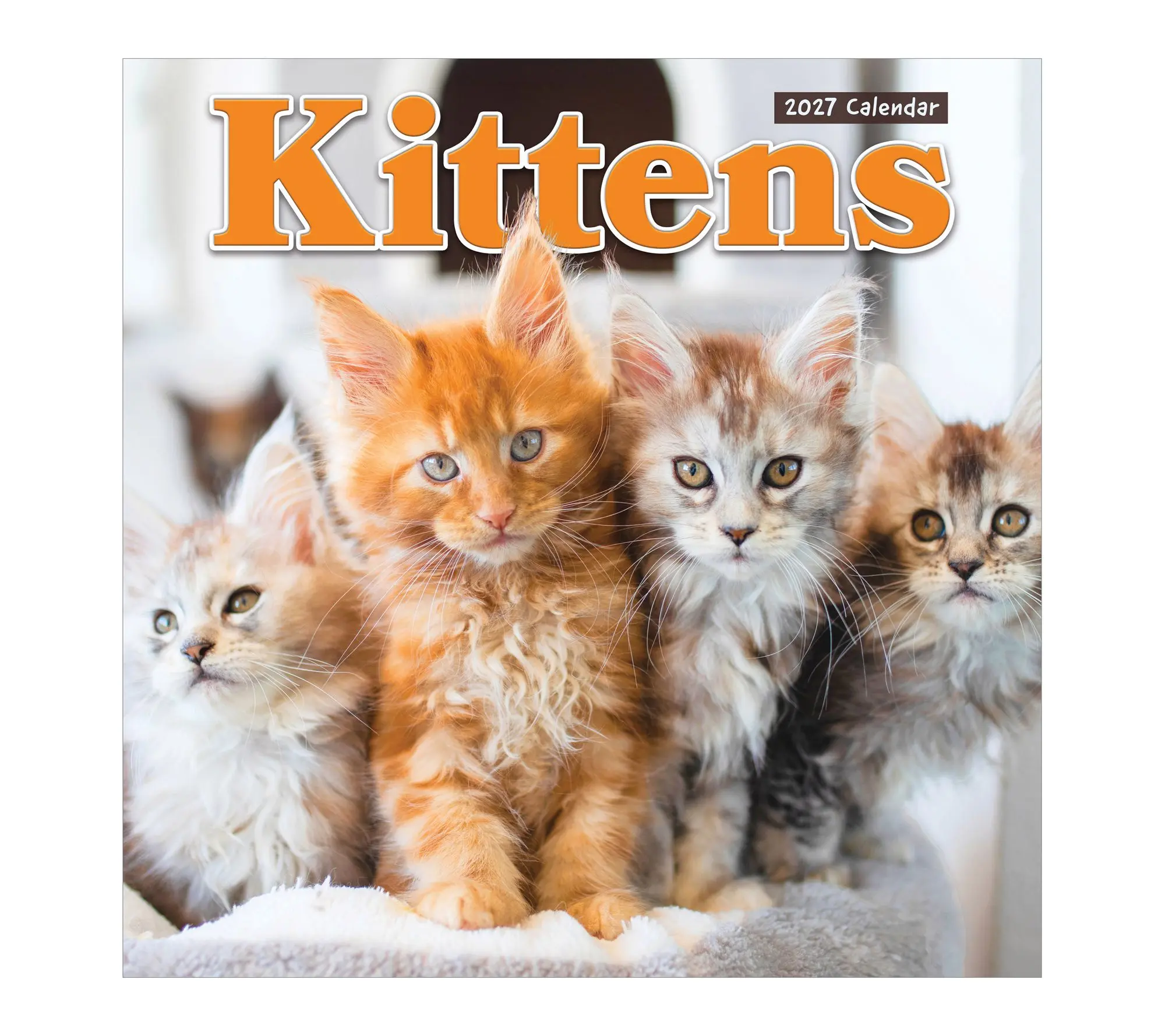 TF Publishing 2027 Kittens Wall Calendar TF Publishing 2027 Kittens Wall Calendar