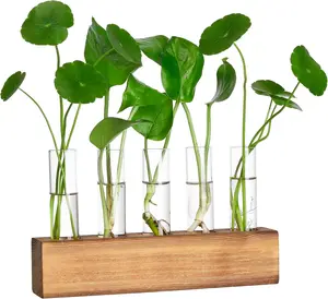Propagation Stations,  Terrarium with Wooden Stand, Birthday Gardening Gifts for Women Mom  Lovers, Office Desk Decor, 5 Glass Test Tubes Vases