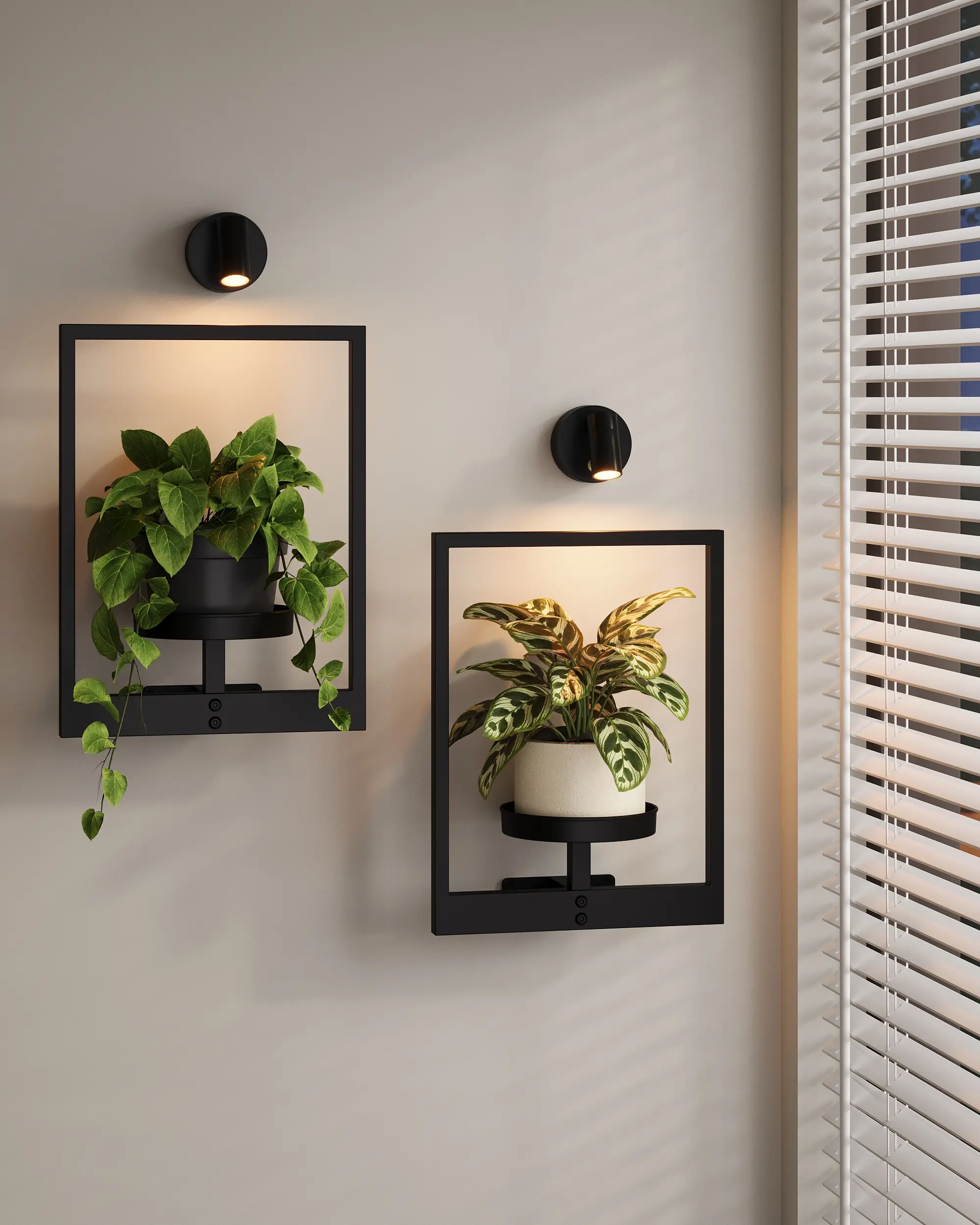 Bamworld Wall-Mounted Hanging Planters  2/3 Pack Options with Spotlights (Not Grow Lights) for Living Room Window Home & Garden Decor