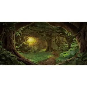AWERT 24x16 inches Psychedelic Forest Terrarium Background Dim Old Trees Woodland Reptile Habitat Background Green Rainforest Aquarium Background Vinyl Background