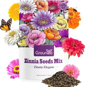Groundio Zinnia Seeds Mix, 1 Oz, Over 3,000 Flowers Seeds, 5 Varieties (Pink, Yellow, Orange, White, Purple), Mixed Colors and Large Blooms,Open Pollinated - Bulk