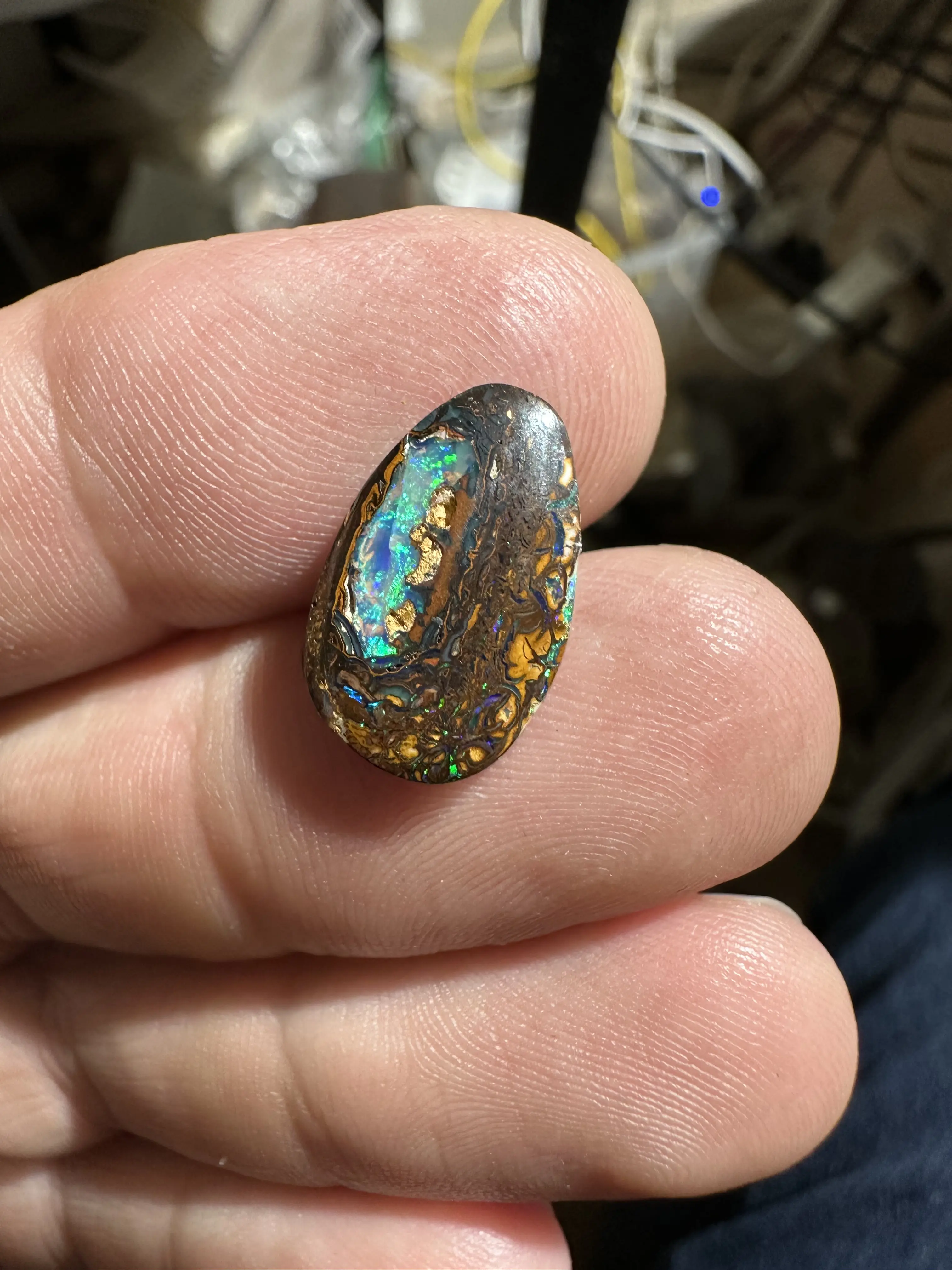 Australian old stock high grade boulder opal freeform nut cab with blue green purple opal fire.