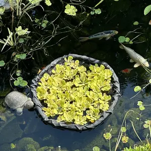 17.72inch Floating Plant Barrier and Floating Island for Ponds, Circular Plant Protector, Protects Floating Plants From Fish Damage