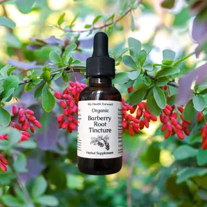 Organic Barberry Root Tincture - Great for digestive, metabolic, and liver health.