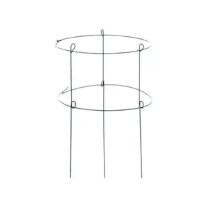 18 x 36 in. Double Peony Plant Support, Green Ring