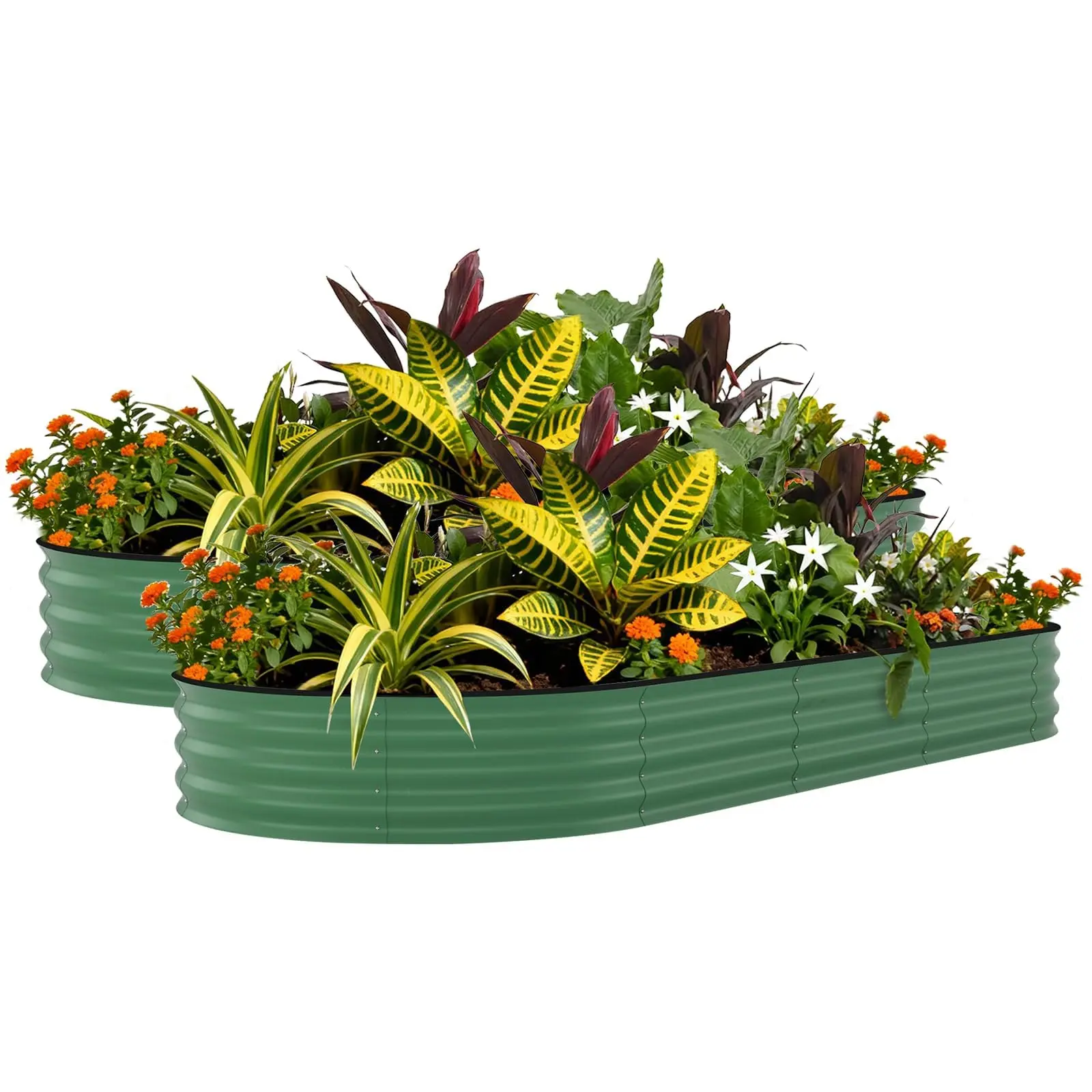2-Pack Galvanized Raised Garden Bed (8x4x1.5ft/240x120x45cm) with Open Bottom, 0.6mm Thick Color Steel Planter Box, Anti-Cutting Strips for Gardening, Patio Use, Lawn