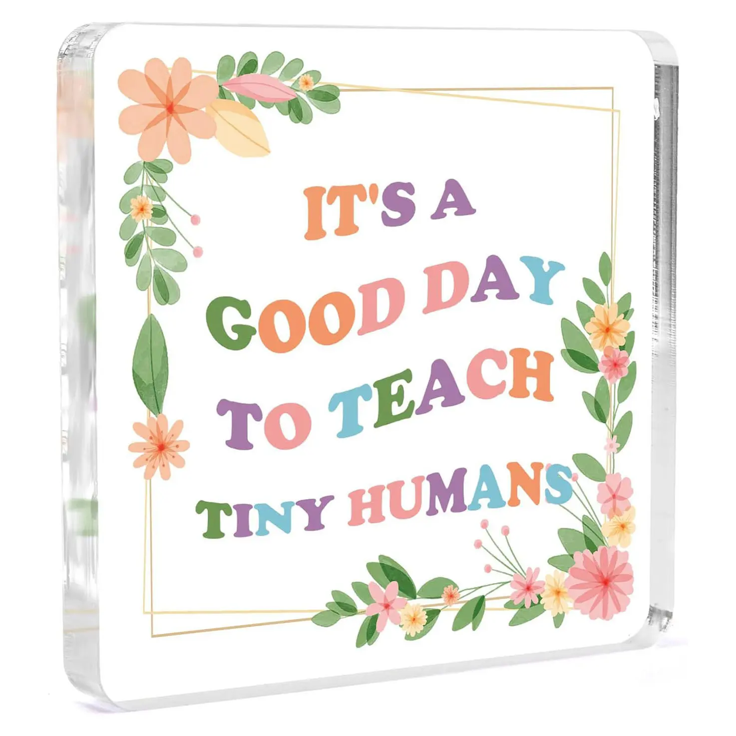 Teacher Appreciation Gifts for Women Best Daycare Teacher Gifts It's A Good Day to Teach Tiny Humans Acrylic Block Plaque Unique Birthday End of Year Back to School Graduation Christmas Gift