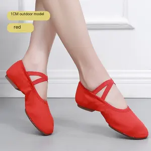 Adult Women's Ballet - style Dance Shoes with Heels, Soft - soled, Cowhide Outsole, Indoor and Outdoor Use, No - tie Design, Ideal for Teachers