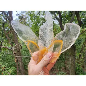 Raw Golden Phantom Selenite Wands, Sacral Selenite, Utah Selenite Slices