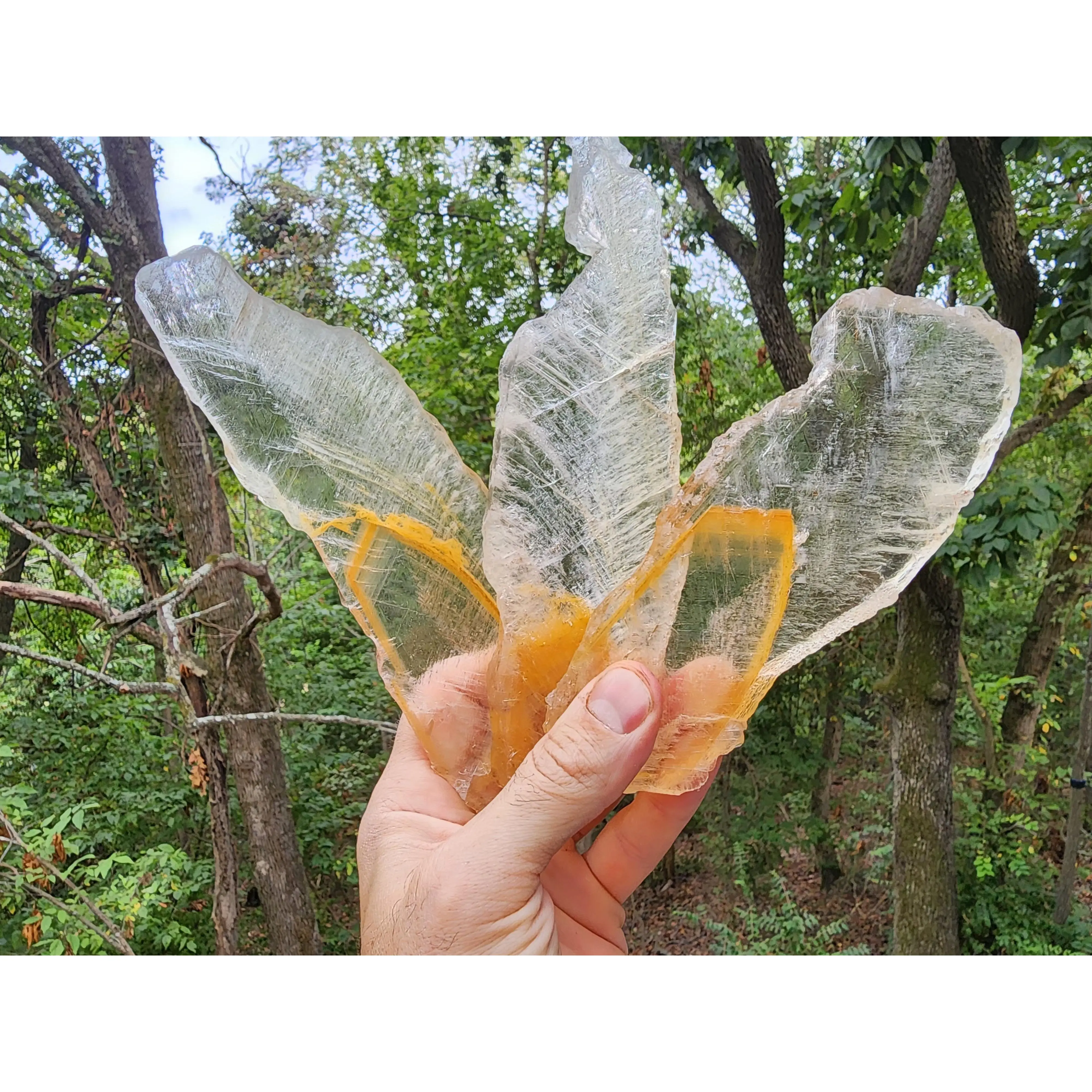 Raw Golden Phantom Selenite Wands, Sacral Selenite, Utah Selenite Slices