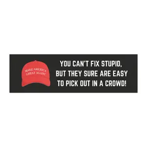 You Can' Fix Stupid Anti-Maga Car Magnet, Liberal Gift, Democrat Magnet for Car, Anti-Trump, Political Statement, Funny Quote Magnet, Gift for Democrat, Political Humor, Political Satire