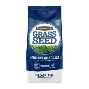 Kentucky Bluegrass Northern Grass Seed Mix, for Sun to Partial Shade, 7 lb.