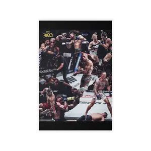 UFC 300 Wall Decals