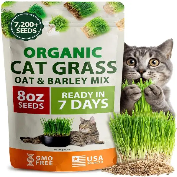 Organic Cat Grass Seeds Pack (8oz) Non-GMO Heirloom Cat Grass Seeds for Indoor & Outdoor Cats -Premium Oats and Barley Grass Seed Pack - Hairball Relief