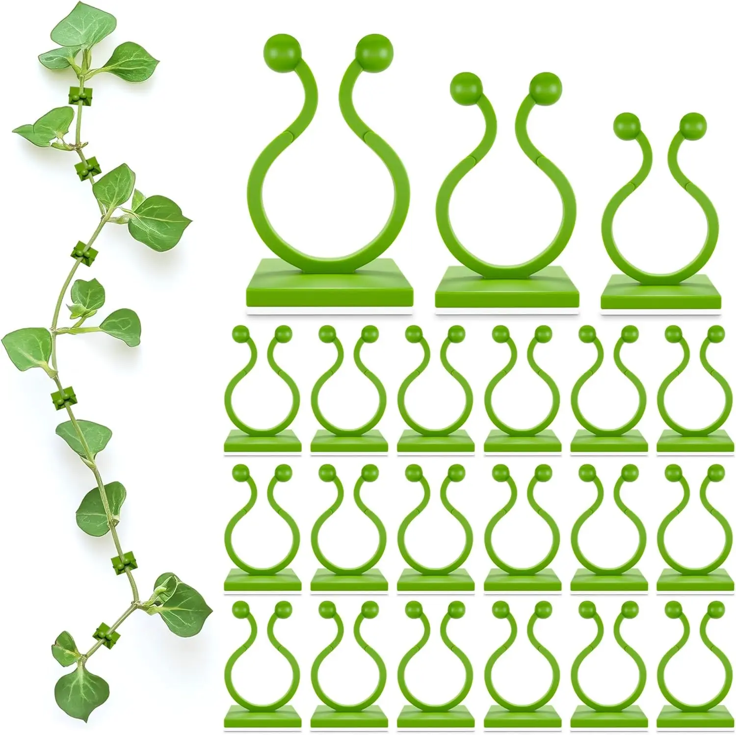 DIMROM Plant Wall Clips for Climbing Plants 110 Pcs - Pothos Plant Climber  Support - Large, Medium, and Small Sizes Wall Clips for Support, Strong  Adhesion - for Indoor Plants or Cable Management - TikTok Shop