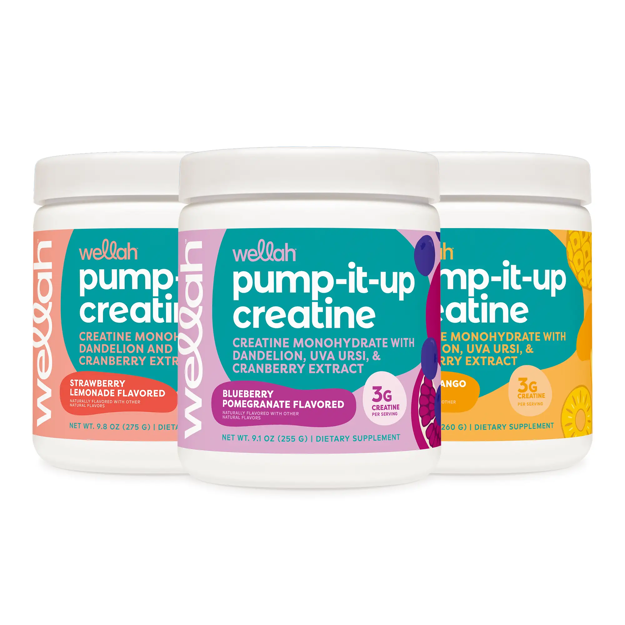 Wellah Pump It Up Creatine – 3 Flavor Bundle | Creatine Supplement | 3g Creatine Per Serving | 150 Servings