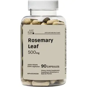 Rosemary Leaf Extract 500mg, 90 Vegan Capsules, Herbal Supplement for Mind, Body & Hair Wellness, Gluten-Free, Plant-Based