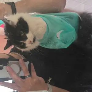 Cat Bathing Grooming Bag - Multifunctional Adjustable Breathable Restraint Shower Bag with Anti-Bite and Anti-Scratch Features in Green （Not exceeding 15.5 lb）