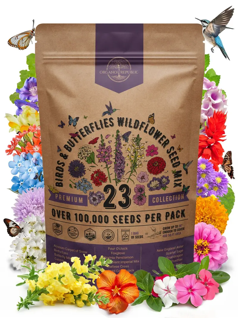 sunflowers seeds for planting Back to the Roots Organic Sunflower 'Lemon Queen', 1 Seed Packet