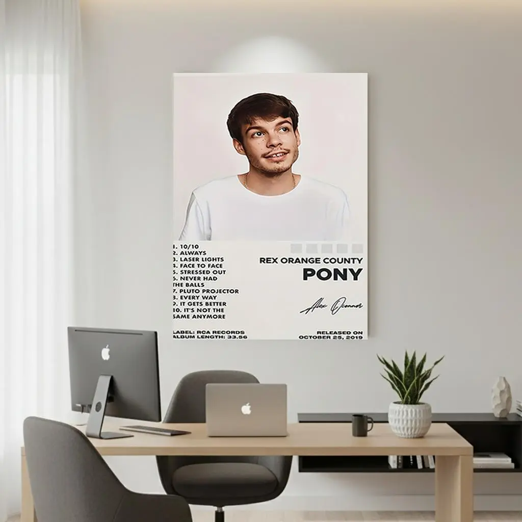 Framed 1pc Rex Orange County Pony Album Cover Canvas Poster - Modern Minimalist Music Decor with Track Listings,  Wall Art Print for Living Room, Bedroom, Office - Perfect Gift for Rex Orange County Fans, Home Decoration, Artistic Print Decorative Glossy