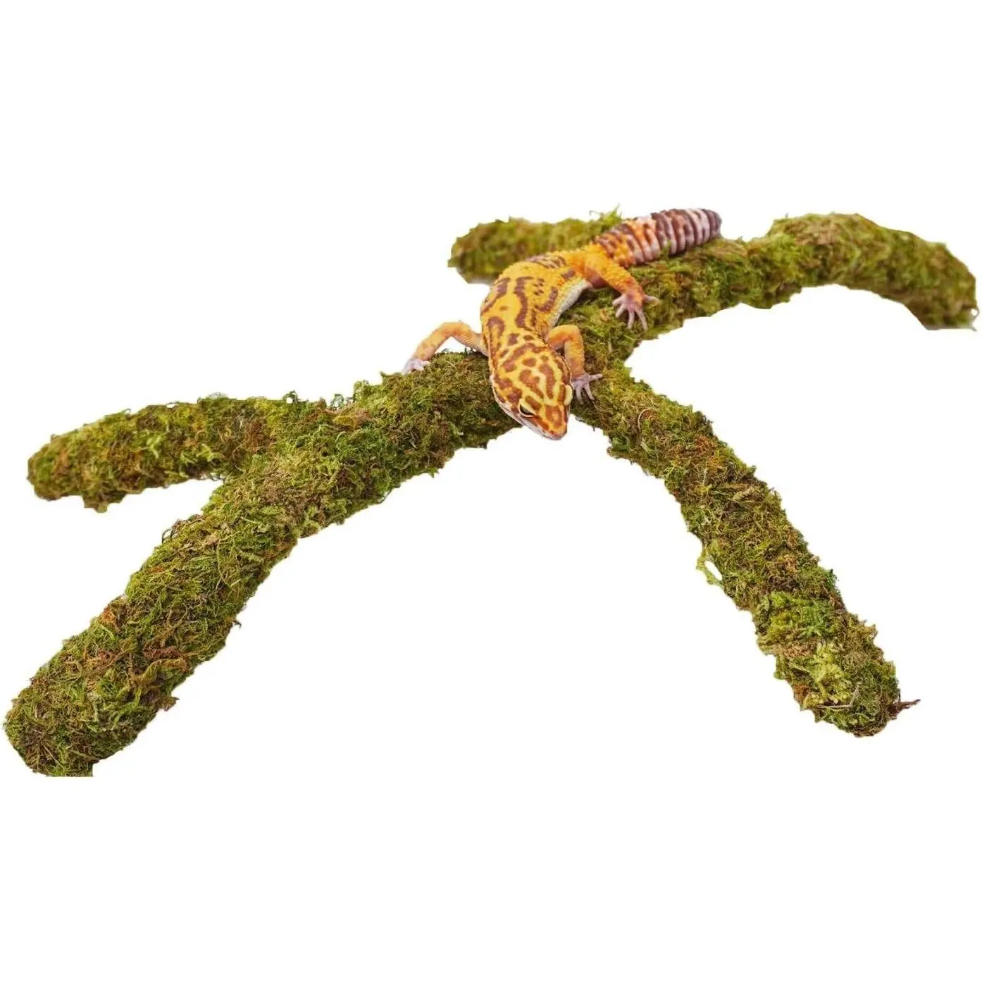 Leopard Gecko Tank Accessories Adjustable Climbing Toys Supplies Terrarium Habitat Decor