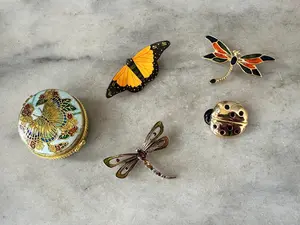 Vintage Insect Brooch Collection with Cloisonné Butterfly Trinket Box – Ladybug, Dragonflies & Butterfly Pins