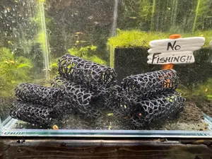 Shrimp and Fry Hide Tube | Voronoi Tunnel Aquarium Decoration