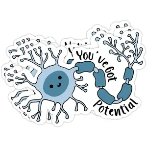 You've Got Potential Sticker - Neuroscience & Brain Humor Decal - Funny Medical & Nurse Stickers 3ZE