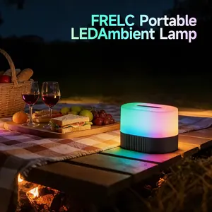 Multi-Functional Outdoor Light: Ambient, Reading & Camping Modes，Outdoor emergency lights, soft night camping lighting， Mobile emergency power bank