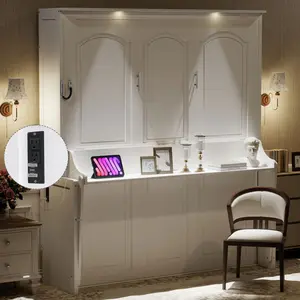 Queen Size Murphy Bed with Desk,LED Lights and USB Charging Station,White(ETA:9/1) Queen Size Murphy Bed with Desk,LED Lights and USB Charging Station,White(ETA:9/1)
